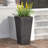 PLANTER-378235973