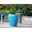 Catalina Pots By -415856417