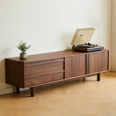 Modern Minimalist TV Stand