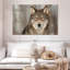 Loup gris Brampt-107698541