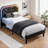 Bed Frames With Lighted Headboard-1726346758