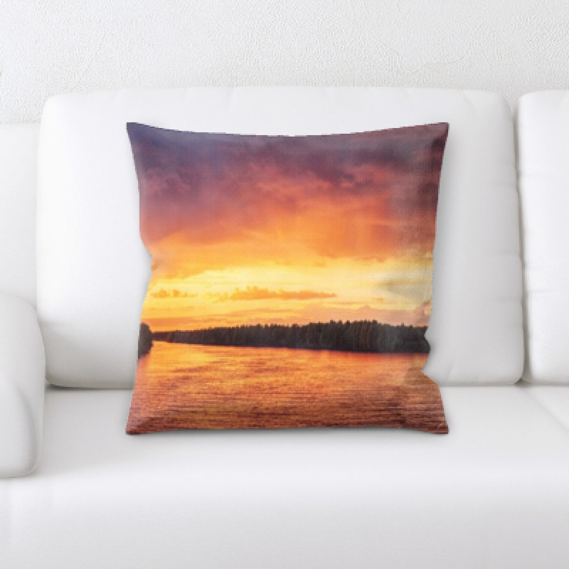 Weinberger Microsuede Throw Pillow