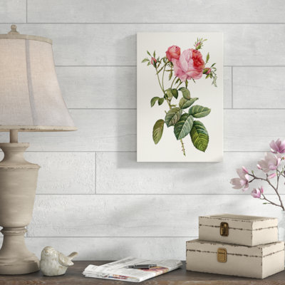 Redoute's Rose II by Pierre Redoute - Painting Print