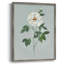 «Rose Beauty II», reproduction encadrée - bois massif 47837-1050299947