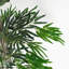 Faux Bamboo Tree in Pot Liner-88443229