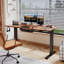 Hieronymus Electric Adjustable T-Shape Standing Desk Home Desk With Backpack Hook And Memory Smart Pannel-1626604755-1651524266