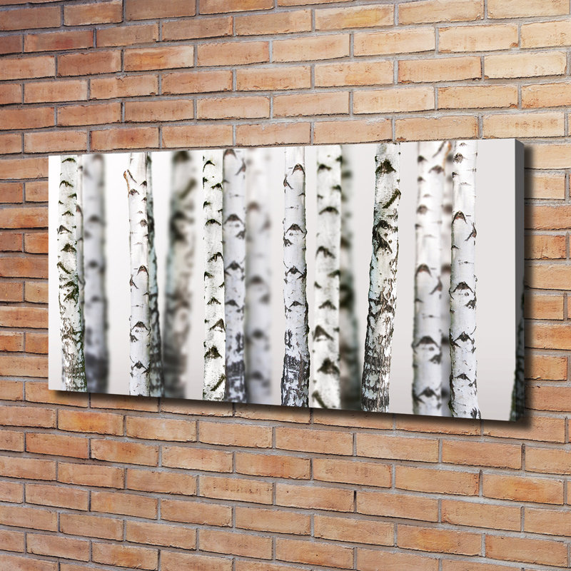 Birch Trunks - No Frame Print on Canvas