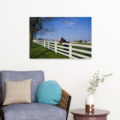 Thoroughbred Horse Lexington Ky Abstract Contemporary Horse Animal Architecture Art