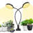 Zhu 5 Watt Grow Light Flowers