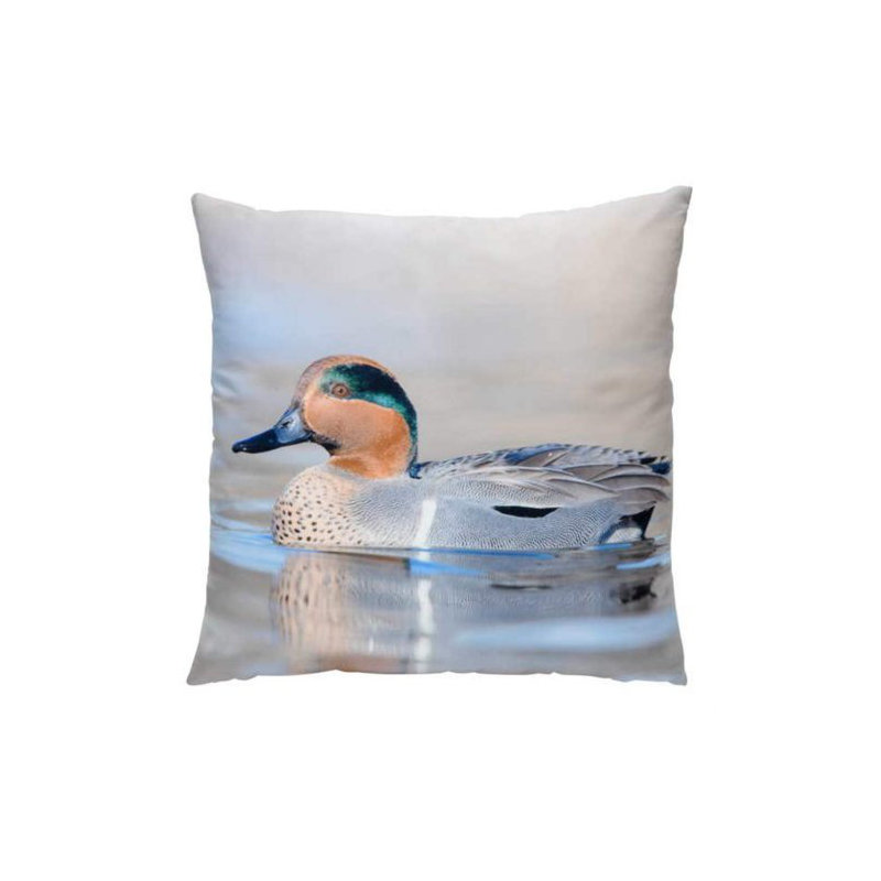 Coussin canard Alfonso