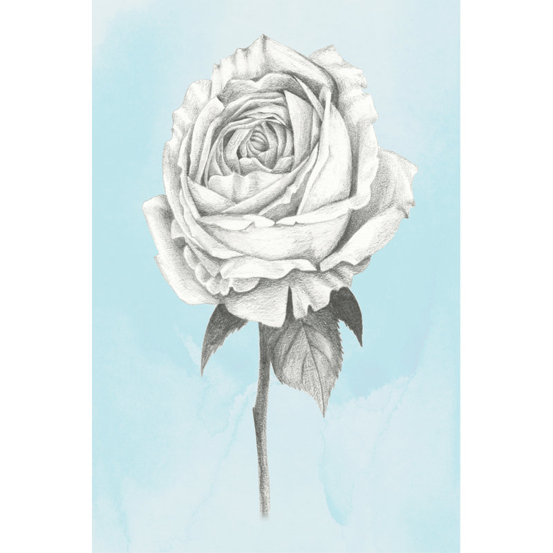 Graphite Rose IV by Grace Popp - Wrapped Canvas Print, 122cm H x 81cm W 