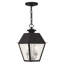 Lanterne suspendue d'extérieur 2 lumières Arnetria-22670195