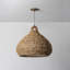 Lechlan 1 Light Pendant-1333587803