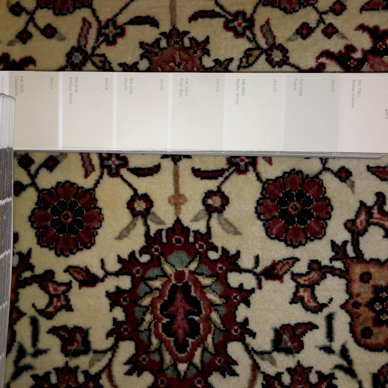Wilhemenia Oriental Area Rug in Beige