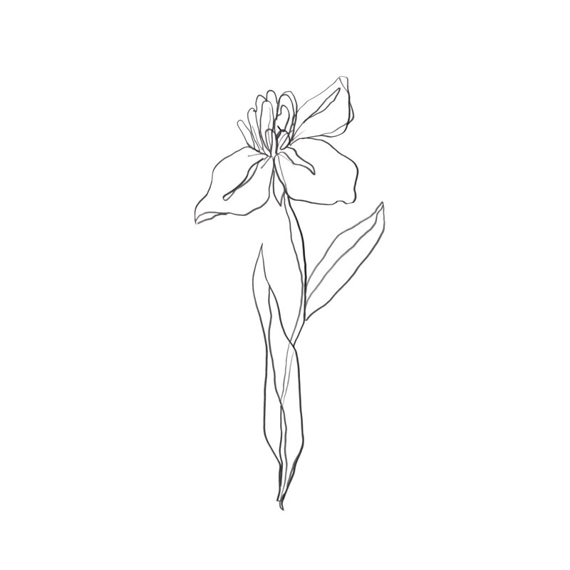 Simple Daffodil II by June Erica Vess - Print on Canvas, 122 cm H x 81 cm W, Black Floater Framed