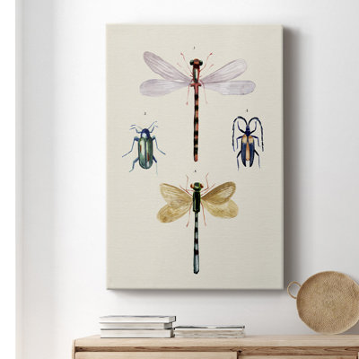 Insect Variétés I - peinture sur toile tendue