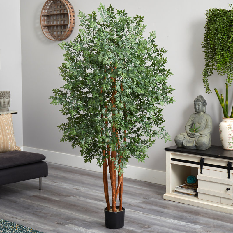 5 pi. Arbre artificiel Aralia