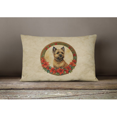 Christmas Flowers Frame Outdoor Throw Pillow