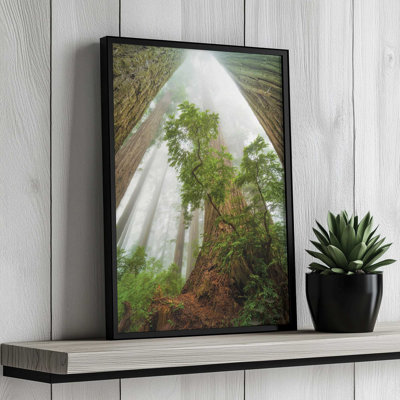 Cathédrale de la nature par Martin Podt, reproduction d'art