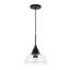 Giraldo 1 - Light Single Pendant-1441526060