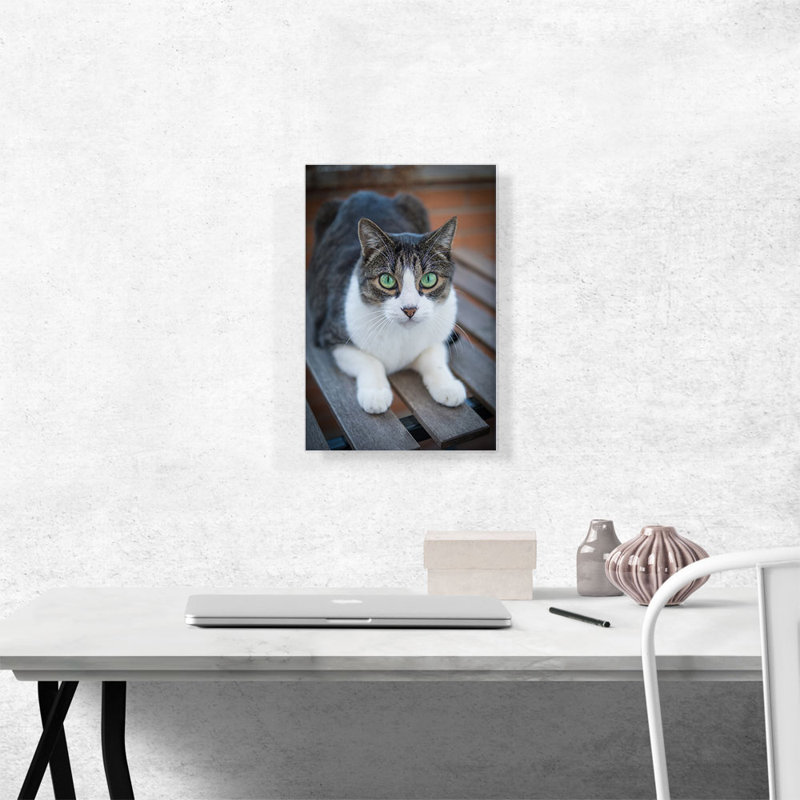 «Green Eyes Cat Home Decor», reproduction de photo sur toile tendue, H 18 po x l 12 po x P 0,75 po