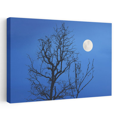 Arbre au clair de lune, silhouette, nature mystique, paisible, impression d'art mural