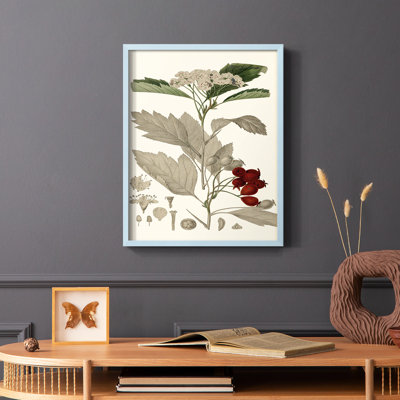 «Leaves & Berries I», reproduction encadrée - bois massif