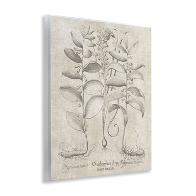 Vintage Botanical Herb Wall Plaque Art by Lettered and Lined