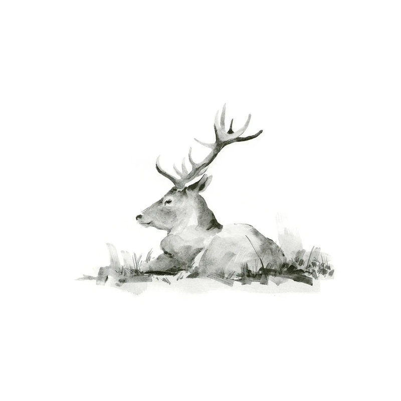 Recumbent Stag II by Jacob Green - Wrapped Canvas Gallery-Wrapped Canvas Giclée, 20.32cm H x 30.48cm W