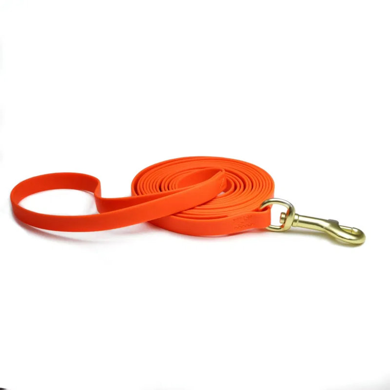 Outdoor Waterproof Dog Training Long Lead - Odor-resistant, Quick-dry Rope With Padded Neoprene Handle & 360° Swivel Clip For Beach, Hiking, And Recall Training