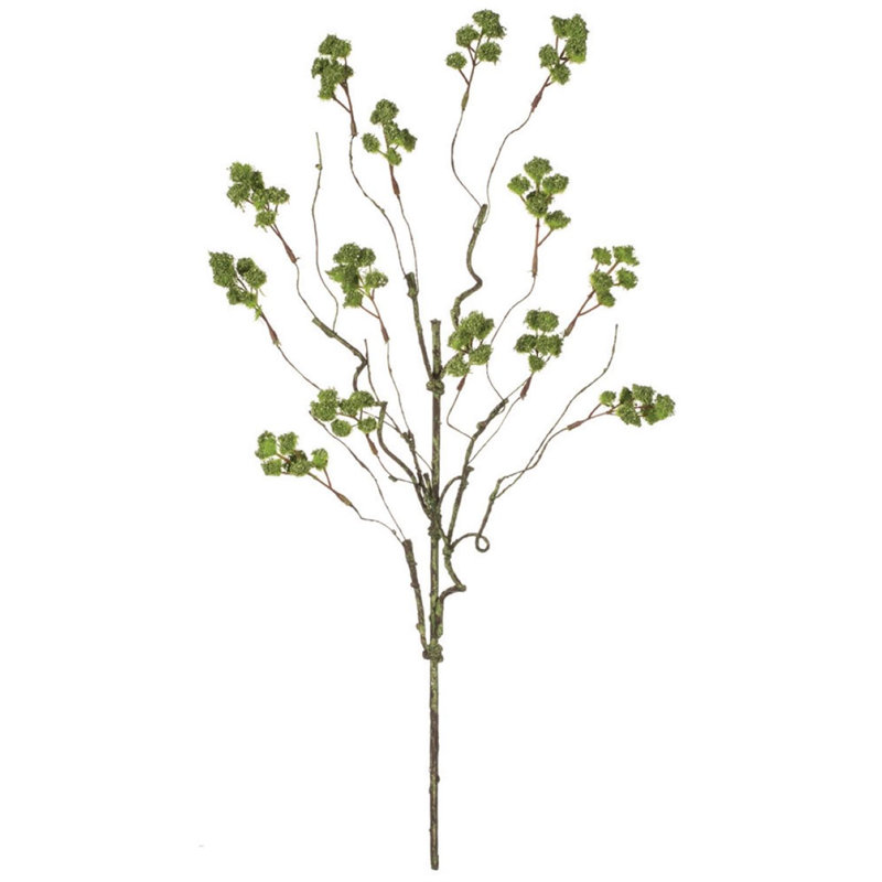 Irish Moss Arrangement