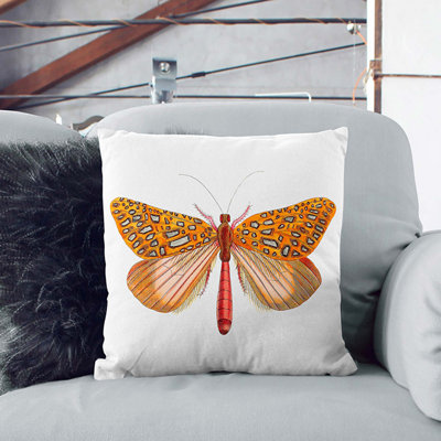 Venus Moth by George Shaw Cushion with Filling