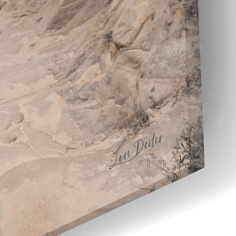 «Rocky Wonders 1» par Lori Deiter, art mural en verre acrylique, H 24 po x l 16 po