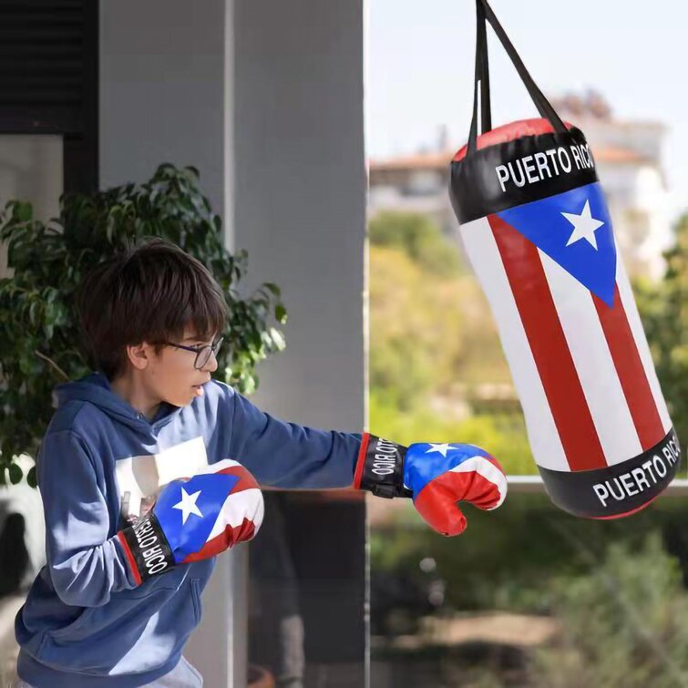 Boost Your Child's Boxing Skills With This Fun Tabletop - Temu