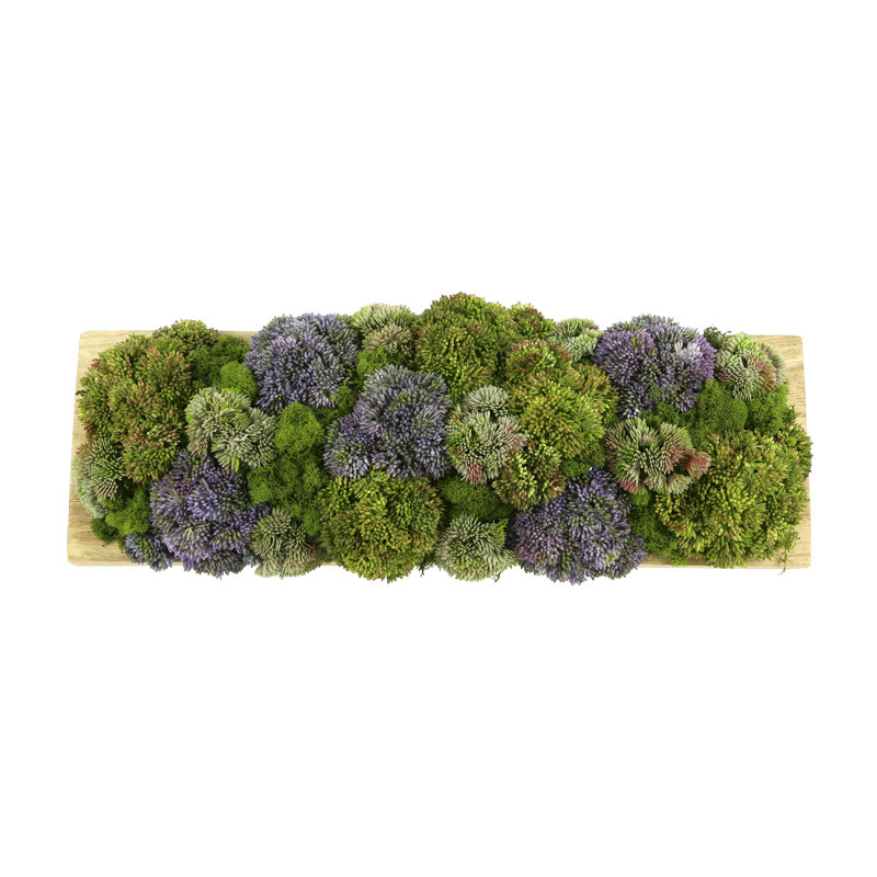Assorted Sedum and Moss Arranged in Wood Planter, Green/Purple