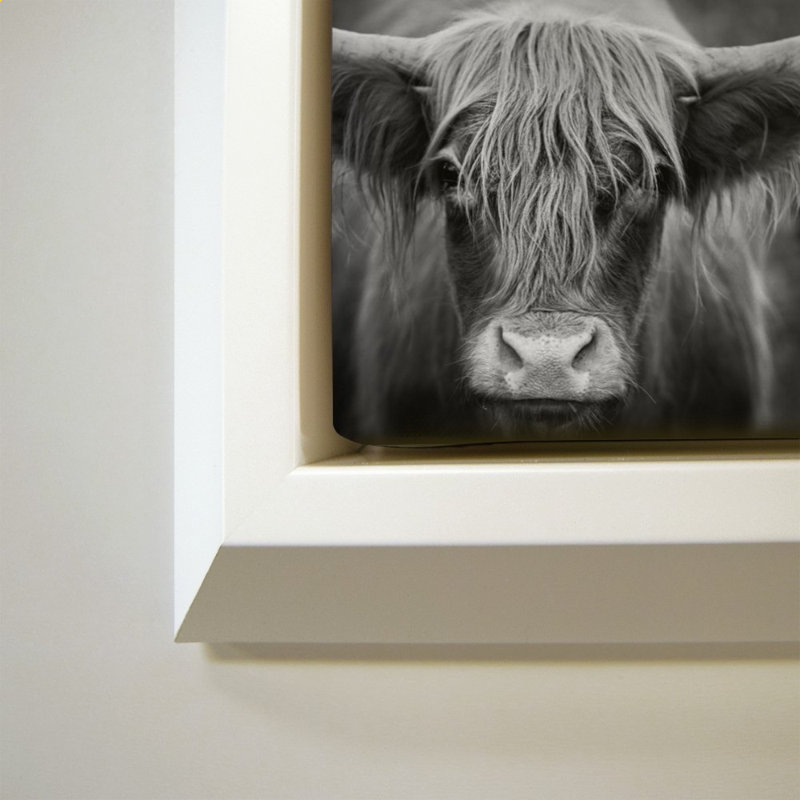 Nez de vache BW