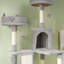 Arbre à chat Archie & Oscar ™ 81 po avec poteaux à griffer pour grands chats adultes, gris foncé-42181303