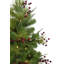 Arbre de noël artificiel pin vert 4 pi avec 200 lumières claires et blanc newberry-1408239633