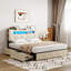Upholstered Storage Bed-2089619132-2089619134
