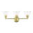 Esterly 3 - Light Dimmable Vanity Light-1033335026