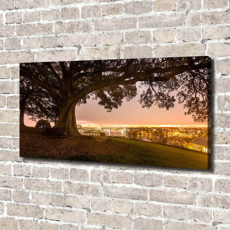 Old Tree - Wrapped Canvas Print
