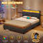 Bed-119598637-119598635