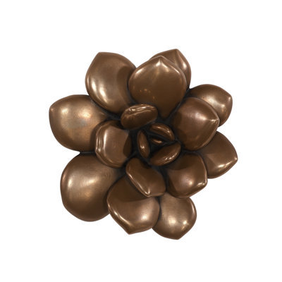 Laui Succulent Wall Art, Imperial Bronze