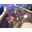 Santorini Solid Wood Dining Table