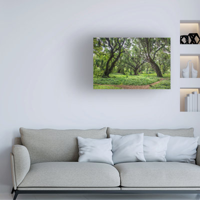 Wrapped Canvas Wall Art - Jon Evan 'Evergreen' Wall Art for Living Room, Bedroom, or Office Décor - 30x47