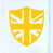 Dark Yellow