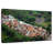 Nicci Rio Favelas-108913551