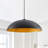 1-Light black iron adjustable pendant lamp