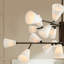 Delaware 24 - Light Chandelier