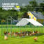 Denne Walk In Chicken Run-1107723288